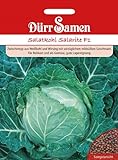 foto: jetzt Dürr Samen 1153 Salatkohl Salarite F1 (Kohlsamen) Online, bester Preis 4,11 € neu 2024-2023 Bestseller, Rezension
