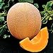 photo Park Seed Hale's Best Organic Melon Seeds Delicious Cantaloupe Certified Organic Thick Flesh, Sweet Juicy Flavor, Pack of 20 Seeds 2022-2021