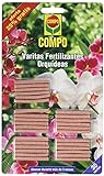 foto: comprar COMPO Varitas fertilizantes para orquídeas, Larga duración de hasta 3 meses, 30 unidades on-line, mejor precio 4,35 € nuevo 2024-2023 éxito de ventas, revisión