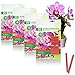 photo com-four® 80x Bâtonnets d'engrais pour orchidées - Engrais équilibré pour orchidées pour Une Floraison éclatante. 2024-2023