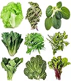 photo: You can buy Greens Seeds Collection, 2500+ Seeds, 9 Heirloom Varieties, Arugula, Beet, Upland Cress, Vates Collard, Red Russian Kale, Crisphead Lettuce, Parris Island Lettuce, Tatsoi Mustard, Viroflay Spinach online, best price $12.99 new 2024-2023 bestseller, review