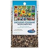 photo: You can buy Drought Resistant Tolerant Wildflower Seeds Open-Pollinated Bulk Flower Seed Mix for Beautiful Perennial, Annual Garden Flowers - No Fillers - 1 oz Packet online, best price $9.69 new 2024-2023 bestseller, review