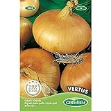 foto: comprar Germisem Vertus Semillas de Cebolla 4 g (EC1002) on-line, mejor precio 2,70 € nuevo 2024-2023 éxito de ventas, revisión