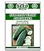 photo Straight Eight Cucumber Seeds - 50 Seeds Non-GMO 2023-2022