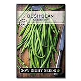 photo: You can buy Sow Right Seeds - Contender Green Bean Seed for Planting - Non-GMO Heirloom Packet with Instructions to Plant a Home Vegetable Garden online, best price $5.49 new 2024-2023 bestseller, review