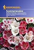 foto: jetzt Sperli Blumensamen Sommerazalee Godetia Mischung, grün Online, bester Preis 2,88 € (96,00 € / 100 g) neu 2024-2023 Bestseller, Rezension