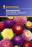 foto: jetzt Sperli Blumensamen Prinzeß-Aster Callistephus Mischung, grün Online, bester Preis 2,01 € neu 2022-2021 Bestseller, Rezension