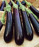 photo: You can buy CEMEHA SEEDS - Eggplant Aubergin Black Long Pop Thai Non GMO Vegetable for Planting online, best price $6.95 ($0.23 / Count) new 2024-2023 bestseller, review
