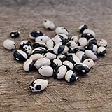 photo: You can buy Calypso Shelling Bean - 50 Seeds - Heirloom & Open-Pollinated Variety, Non-GMO Vegetable/Dry Bean Seeds for Planting Outdoors in The Home Garden, Great for Containers, Thresh Seed Company online, best price $7.99 new 2024-2023 bestseller, review