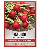photo: You can buy Radish Seeds for Planting - Cherry Belle Variety Heirloom, Non-GMO Vegetable Seed - 2 Grams of Seeds Great for Outdoor Spring, Winter and Fall Gardening by Gardeners Basics online, best price $4.95 new 2024-2023 bestseller, review
