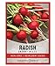 photo Radish Seeds for Planting - Cherry Belle Variety Heirloom, Non-GMO Vegetable Seed - 2 Grams of Seeds Great for Outdoor Spring, Winter and Fall Gardening by Gardeners Basics 2024-2023