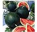 photo Watermelon, Black Diamond, Heirloom, 25 Seeds, Super Sweet Round Melon 2022-2021