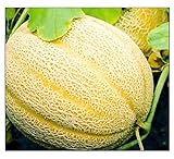 photo: You can buy 50 Hales Best Jumbo Cantaloupe | Non-GMO | Fresh Garden Seeds online, best price $6.95 new 2024-2023 bestseller, review