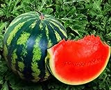 photo: You can buy Seeds4planting - Seeds Watermelon Crimson Sweet Giant Heirloom Vegetable Non GMO online, best price $8.94 new 2024-2023 bestseller, review
