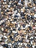 photo: You can buy 12 Pounds River Rock Stones, Natural Decorative Polished Mixed Pebbles Gravel,Outdoor Decorative Stones for Plant Aquariums, Landscaping, Vase Fillers online, best price $25.99 new 2024-2023 bestseller, review