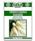 photo: You can buy White Icicle Radish Seeds - 200 Seed Non-GMO online, best price $1.59 ($0.01 / Count) new 2024-2023 bestseller, review