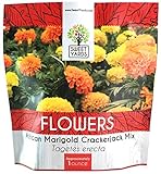 photo: You can buy African Marigold Seeds Crackerjack Mix - Bulk 1 Ounce Packet - Over 10,000 Seeds - Huge Orange and Yellow Blooms online, best price $7.97 new 2024-2023 bestseller, review