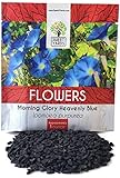 photo: You can buy Morning Glory Seeds Heavenly Blue - Large 1 Ounce Packet - Over 1,000 Flower Seeds online, best price $7.97 new 2024-2023 bestseller, review