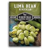 photo: You can buy Survival Garden Seeds - Henderson Lima Bean Seed for Planting - Packet with Instructions to Plant and Grow Tender White Butter Beans in Your Home Vegetable Garden - Non-GMO Heirloom Variety online, best price $5.99 new 2024-2023 bestseller, review