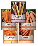 photo: You can buy Carrot Seeds for Planting Home Garden - 5 Variety Pack Rainbow, Imperator 58, Scarlet Nantes, Bambino and Royal Chantenay Great for Spring, Summer, Fall, Heirloom Carrot Seeds by Gardeners Basics online, best price $10.95 new 2024-2023 bestseller, review