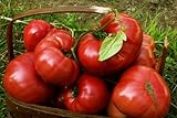photo: You can buy 75+ Pink Brandywine Heirloom Tomato Seeds online, best price $4.49 new 2024-2023 bestseller, review