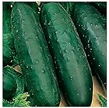 photo: You can buy 50 Marketmore 76 Cucumber Seeds | Non-GMO | Heirloom | Instant Latch Garden Seeds online, best price $6.95 new 2024-2023 bestseller, review