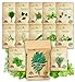 photo NatureZ Edge 12 Herb Seeds Variety Pack, 6000+ Heirloom Seeds for Planting Hydroponic Indoor or Outdoor Home Garden Plant Seed, Parsley, Cilantro, Basil, Thyme, Chamomile, Oregano, Dill & More NonGMO 2024-2023