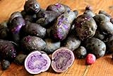 photo: You can buy Simply Seed - Purple Majesty - Naturally Grown Seed Potatoes - 5 LB- Ready for Spring Planting online, best price $25.99 ($0.32 / Ounce) new 2024-2023 bestseller, review