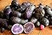 photo Simply Seed - Purple Majesty - Naturally Grown Seed Potatoes - 5 LB- Ready for Spring Planting 2024-2023