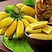 foto Benoon Bananensamen, 1 Beutel Bananensamen Süße Samen Mit Hoher Keimrate Frische Pflanzensamen Für Den Balkon Bananen 2024-2023