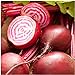 photo Seed Needs, Chioggia Beets (Beta vulgaris) Bulk Package of 2,000 Seeds Non-GMO 2024-2023