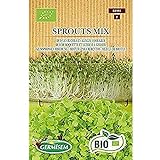 foto: comprar Germisem Orgánica Sprouts Mix Semillas 20 g (ECBIO1901) on-line, mejor precio 3,99 € nuevo 2024-2023 éxito de ventas, revisión