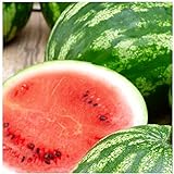 photo: You can buy 25 Cal Sweet Watermelon Seeds | Non-GMO | Heirloom | Instant Latch Garden Seeds online, best price $5.95 new 2024-2023 bestseller, review
