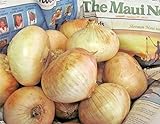 photo: You can buy AchmadAnam Somarac - 400+ Maui Sweet Onion Seeds Short Day Spring / Fall Planting Easy - Fresh Seeds online, best price $16.00 new 2024-2023 bestseller, review