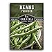 photo Survival Garden Seeds - Provider Bush Bean Seed for Planting - Packet with Instructions to Plant and Grow Stringless Green Beans in Your Home Vegetable Garden - Non-GMO Heirloom Variety 2024-2023