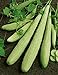 photo David's Garden Seeds Cucumber Slicing Armenian Yard Long 9184 (Green) 25 Non-GMO, Heirloom Seeds 2024-2023