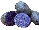 photo: You can buy Purple Majesty Seed Potato 6 Tubers - Heirloom - Great Taste! online, best price $16.57 new 2024-2023 bestseller, review