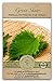 photo Gaea's Blessing Seeds - Green Shiso Seeds (Perilla), Heirloom Non-GMO Seeds with Easy to Follow Planting Instructions, Kaori Ao Shiso, Open-Pollinated, 94% Germination Rate 2024-2023