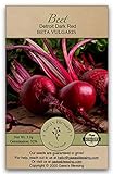 photo: You can buy Gaea's Blessing Seeds - Beet Seeds - Detroit Dark Red Non-GMO Seeds with Easy to Follow Planting Instructions - Heirloom 92% Germination Rate 3.0g online, best price $4.99 new 2024-2023 bestseller, review