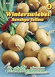 foto: jetzt N.L. Chrestensen 433311 Zwiebel Senshyu Yellow Winterzwiebeln (Zwiebelsamen) Online, bester Preis 3,53 € neu 2024-2023 Bestseller, Rezension