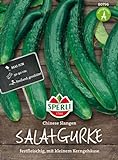 foto: jetzt Gurkensamen - Salatgurke Chinese Slangen von Sperli-Samen Online, bester Preis 2,17 € neu 2024-2023 Bestseller, Rezension