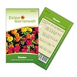 foto: jetzt Zinnien Dahlienblütige Riesen, Mischung Samen - Zinnia elegans - Zinniensamen - Blumensamen - Saatgut für 70 Pflanzen Online, bester Preis 1,99 € (0,03 € / stück) neu 2024-2023 Bestseller, Rezension
