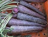 photo: You can buy David's Garden Seeds Carrot Purple Sun 1123 (Purple) 200 Non-GMO, Hybrid Seeds online, best price $4.45 new 2024-2023 bestseller, review