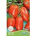 foto Germisem Roma Semillas de Tomate 1 g, EC8011 2024-2023