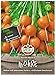 foto Sperli Premium Möhren Samen Pariser Markt 5 ; kugelförmige Karotte ; runde Karotten Samen 2024-2023