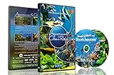foto: jetzt Aquarien DVD - 2 DVD Set Aquarien und Riffe des Ozeans mit farbenfrohen Korallen und Fischen Online, bester Preis 19,95 € neu 2022-2021 Bestseller, Rezension
