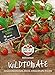 foto 83235 Sperli Premium Tomatensamen Red Currant | Buschtomaten Samen | Tomatensamen Resistent | Wildtomaten Samen | Johannisbeertomaten Samen | Wildtomate rote murmel | Alte Tomatensorten 2024-2023