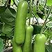 photo S-pone 20+ Long Bottle Gourd Seeds Edible Asian Indian Opo Squash Dudi Calabash Long Melon 2024-2023