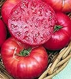 photo: You can buy Pink Ponderosa Heirloom Tomato Seeds - Large Tomato - One of The Most Delicious Tomatoes for Home Growing, Non GMO - Neonicotinoid-Free. online, best price $12.99 ($1,299.00 / Ounce) new 2024-2023 bestseller, review