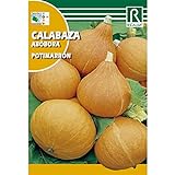 foto: comprar Semillas de Calabaza potimarron on-line, mejor precio 1,62 € nuevo 2024-2023 éxito de ventas, revisión